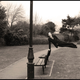 Image for article titled Shooting Challenge: Levitation, Gallery 2